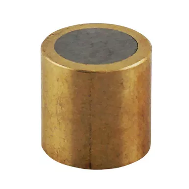 Alnico Shielded Assembly - 0.5'' Dia. x 0.5'' H, brass shield, 0.225 lbs. pull AAB505BX