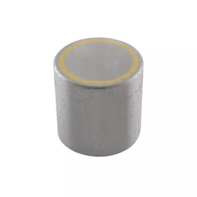 Neodymium 2-Pole Shielded Assembly - 0.5'' Dia. x 0.5'' H, 8 lbs. pull RBN2P-.5BX